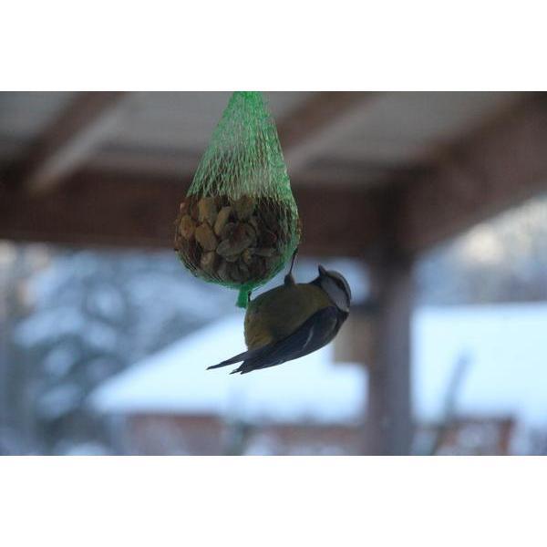 Porte-boule de graisse – Porte-boule de graisse – Porte-nourriture pour  oiseaux –
