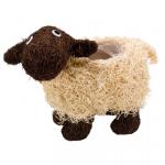 Shelley, le mouton cache-pot