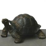 Riesenschildkröte - Miniatur
