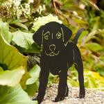 Silhouette Welpe Hund - dekorativ