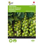 Chou De Bruxelles De Groningue - Brassica oleracea