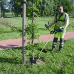 Protection pour tronc d'arbre - 45 x 15 cm