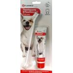 Dentifrice et brosse à dents pour chien