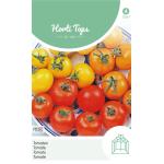 Mélange de tomates colorées
