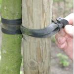 Liens pour arbres Tree-fix 30 cm/15 mm (10 pièces)