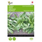 Feldsalat Holländisccer breitblättriger - Valerianella locusta