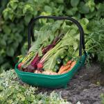 Panier de récolte pour légumes et fruits