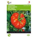 Tomate charnue Marmande VR - Solanum lycopersicum L.