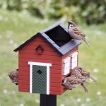 Vogelfutterhaus mit Bad - rot