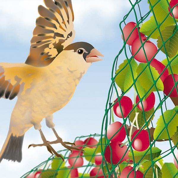 Filet de protection contre les oiseaux - semis et petits fruits