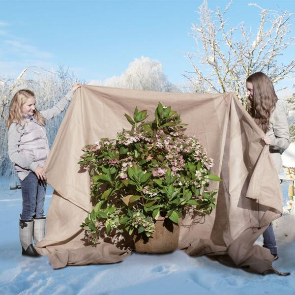 Housse d'hivernage et de protection pour plantes 200x300 cm