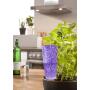 Réservoir décoratif  pour plantes d'intérieur - 150 ml