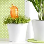 Système d'arrosage pour plantes en pot - petit oiseau orange