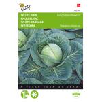 Weißkohl Langendijker Dauer - Brassica oleracea