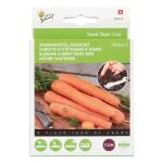 Ruban de semis carottes – 7,5 m