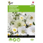 Mélange De Fleurs Blanches - Summerflowers, mixture of white shades