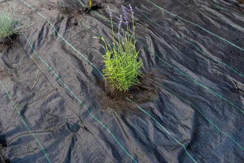 Couvre-sols & toiles