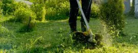 Entretien de la pelouse