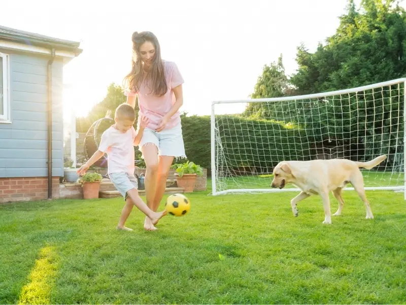 Entretien de la pelouse