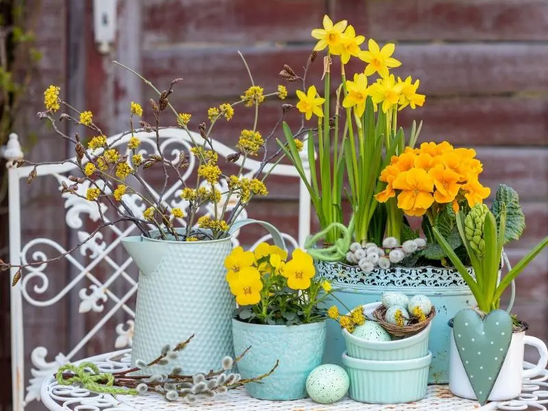 Construction de jardin