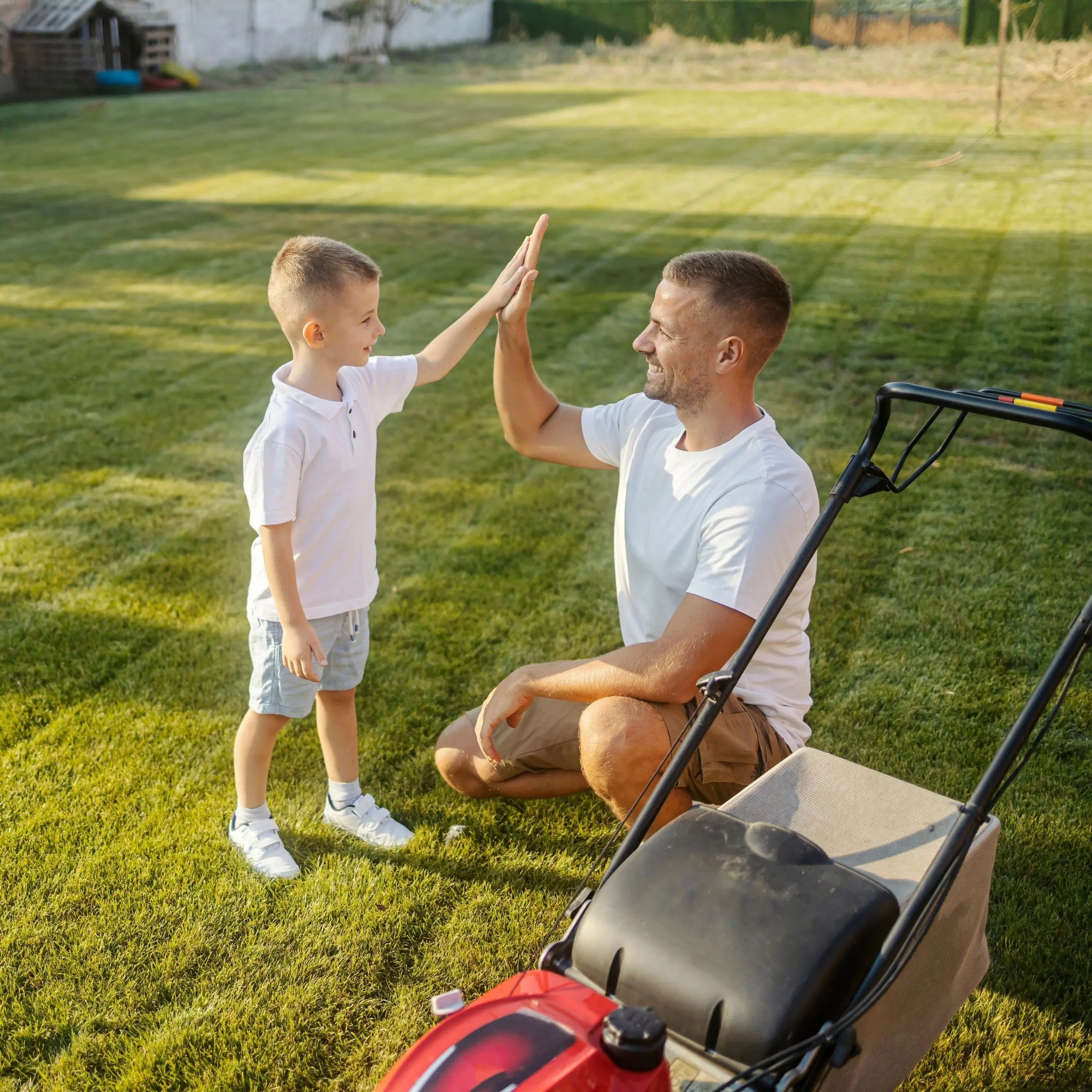 Entretien de la pelouse