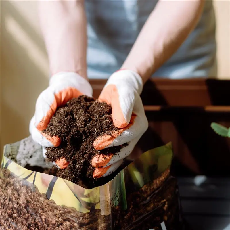 Terreau pour rempotage