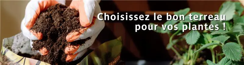 Découvrez notre large assortiment de rempotage