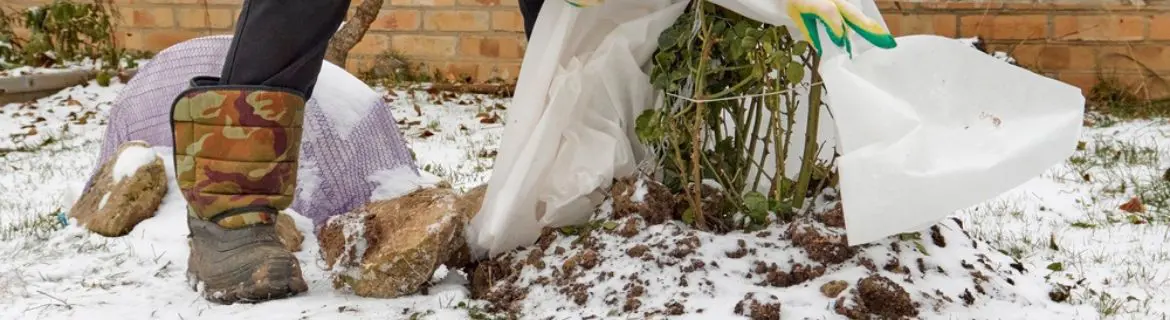 Protégez vos plantes !