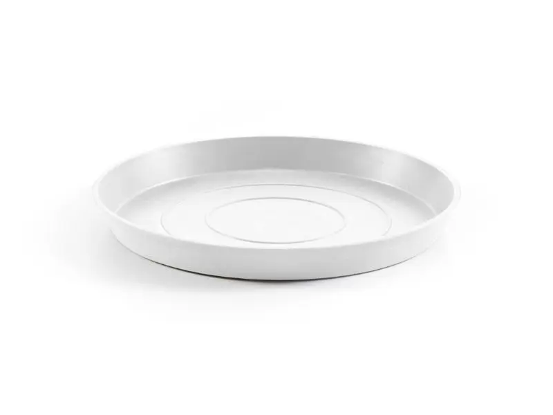 Mini Soucoupes De Truffes Noires Non Fumées - 500 G - Saveur Intense Et Authentique
